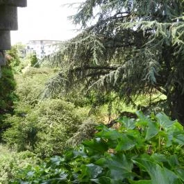 Budai Arborétum Budapest - Külső kép