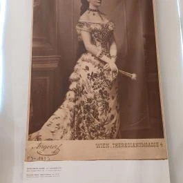 Budai Vigadó, Budapest - Egyéb