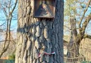 Budakeszi Angyalok Királynéja kegytemplom Budakeszi