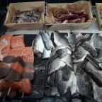 Budaörsi Halpiac Dokk Büfé Budaörs - Étel/ital