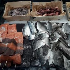 Budaörsi Halpiac Dokk Büfé Budaörs - Étel/ital