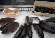 Budaörsi Halpiac Dokk Büfé Budaörs