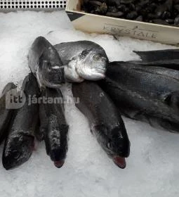 Budaörsi Halpiac Dokk Büfé