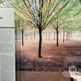 Budaörsi Katonai Temető és Emlékpark, Budaörs - Egyéb