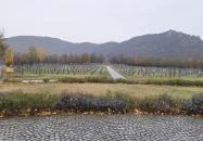 Budaörsi Katonai Temető és Emlékpark Budaörs
