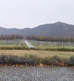 Budaörsi Katonai Temető és Emlékpark