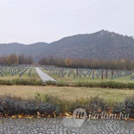 Budaörsi Katonai Temető és Emlékpark, Budaörs - Külső kép