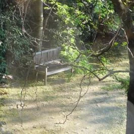 Budapest Mecset Budapest - Egyéb