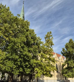 Budapesti Egek Királynéja templom