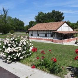 Aquincumi Múzeum és Régészeti Park Budapest - Külső kép