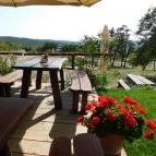 Budavári Liget Óbudavár - Egyéb