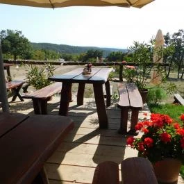 Budavári Liget, Óbudavár - Egyéb