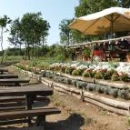 Budavári Liget Óbudavár - Külső kép