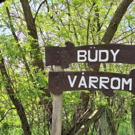 Büdy-várrom Vámosatya - Egyéb