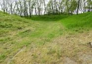 Büdy-várrom Vámosatya