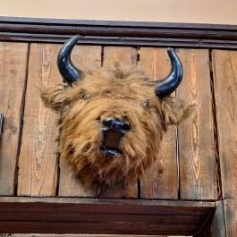 Buffalo Steak House Budapest - Egyéb