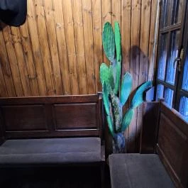 Buffalo Steak House Budapest - Egyéb