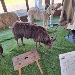 Bugaci Pásztormúzeum Bugac - Egyéb