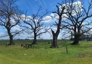 Bugaci Pásztormúzeum Bugac