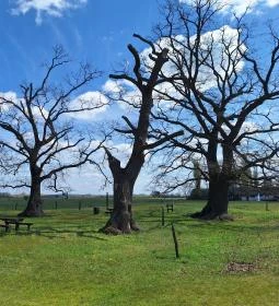 Bugaci Pásztormúzeum
