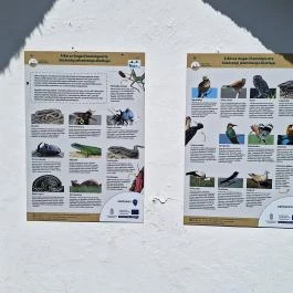 Bugaci Pásztormúzeum Bugac - Egyéb