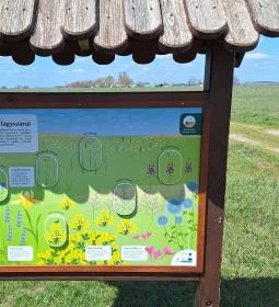 Bugaci Pásztormúzeum