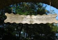 Bugaszegi Köztársaság Balatonboglár