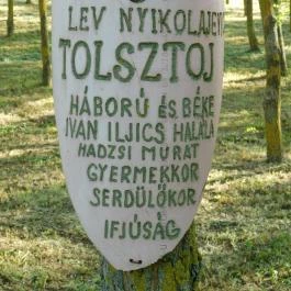 Bugaszegi Köztársaság Balatonboglár - Egyéb