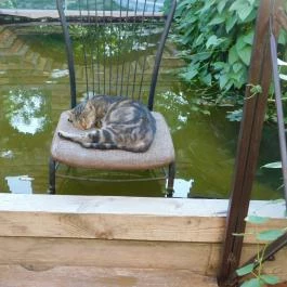 Bugaszegi Köztársaság Balatonboglár - Egyéb