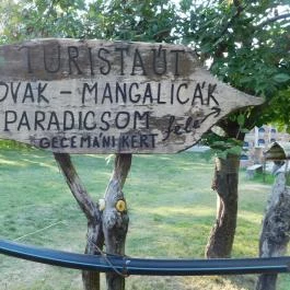 Bugaszegi Köztársaság Balatonboglár - Egyéb