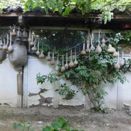 Bugaszegi Köztársaság Balatonboglár - Egyéb