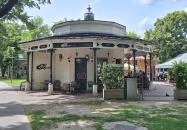 Buja Disznók - Liget Budapest