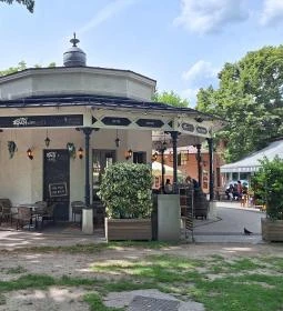 Buja Disznók - Liget