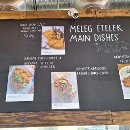 Buja Disznók - Liget Budapest - Egyéb