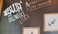 Buja Disznók - Liget Budapest - Egyéb