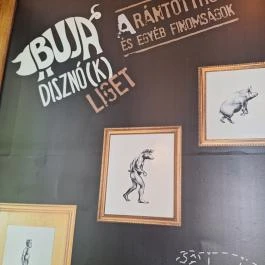 Buja Disznók - Liget Budapest - Egyéb