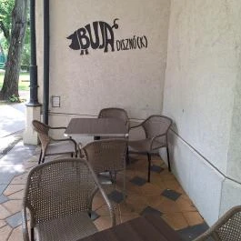 Buja Disznók - Liget Budapest - Belső