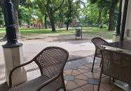 Buja Disznók - Liget Budapest