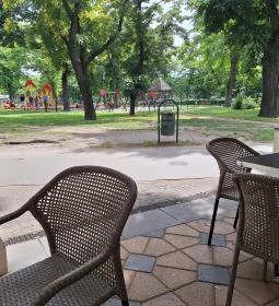 Buja Disznók - Liget