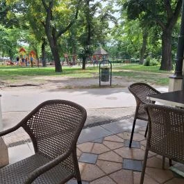 Buja Disznók - Liget Budapest - Külső kép