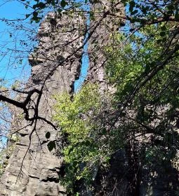 Bujdosók lépcsője