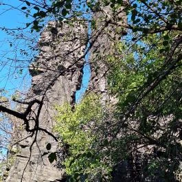 Bujdosók lépcsője, Badacsonytördemic - Külső kép