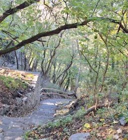 Bujdosók lépcsője