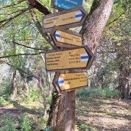 Bujdosók lépcsője, Badacsonytördemic - Egyéb