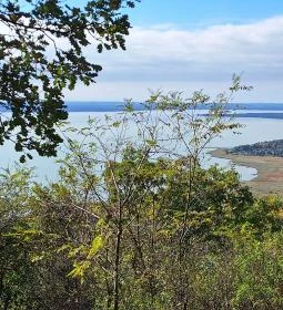 Bujdosók lépcsője