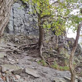 Bujdosók lépcsője, Badacsonytördemic - Egyéb