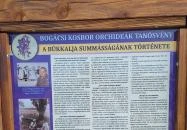 Bükkaljai summások szoborcsoport Bogács