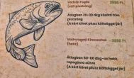 Bükki Útonálló Street Food, Dédestapolcsány