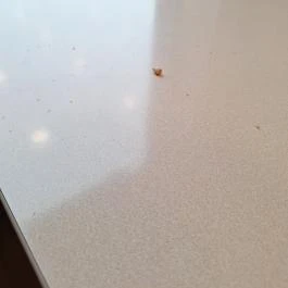 Burger King, Érd - Egyéb