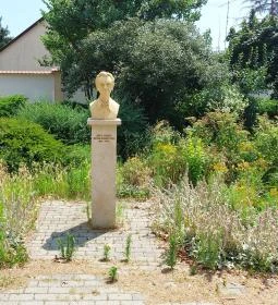 Búza Barna-mellszobor